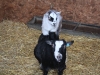 Ebony with her kid Destiny ( 2010 )