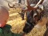 Agnus with Axel